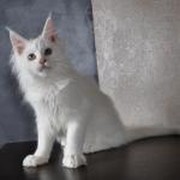 Ирина Нечаева on My World.