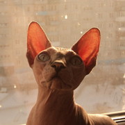 Оксана Куракова on My World.