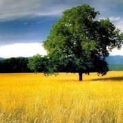 Татьяна Фрезе on My World.