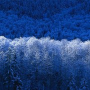 Александр Углинских on My World.