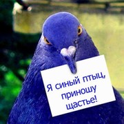 сергей зубков on My World.