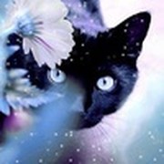 Анна Зайцева on My World.