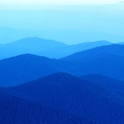 Николай Ситников on My World.