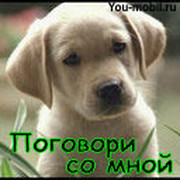 ДИМОН БАСОВ on My World.