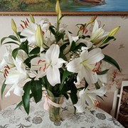Марина Сергунова on My World.