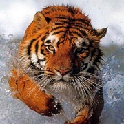 Анастасия Рудакова on My World.