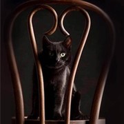 КОТ ๑۩۩๑ on My World.