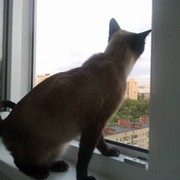 Zena NF on My World.