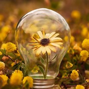 Елена _ on My World.