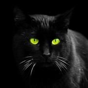 Чёрный Кот on My World.