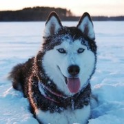 . Денис Валериевич. on My World.