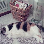 Лариса Осинцева on My World.