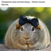 Ольга Литвинова on My World.