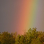 Оксана Логинова on My World.