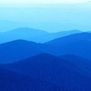 Алексей Локтев on My World.