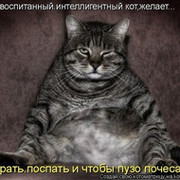 КОЗИНСКИЙ МАКСИМ on My World.