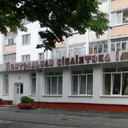 Мозырь пушкина