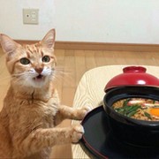 Кошка Кошка on My World.