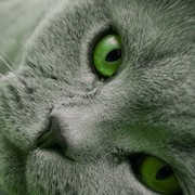andr kh on My World.