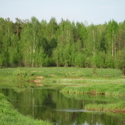 НатальяАндронова Финогенова on My World.