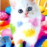 Ольга ® on My World.