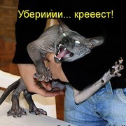 саня рощин on My World.