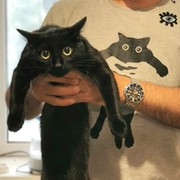 Олег Шелопугин on My World.
