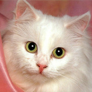 Статисты Поликлиника 2 on My World.