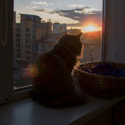 Станислав Медведев on My World.