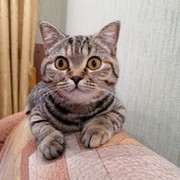 Тамара Осипова on My World.