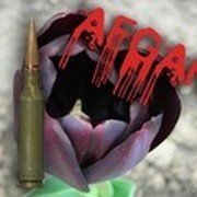 Александр Овчинников on My World.