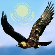 Самат Мустафин on My World.