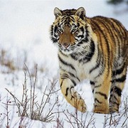 Вячеслав Тараканов on My World.