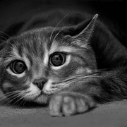 Максим Воробьёв on My World.